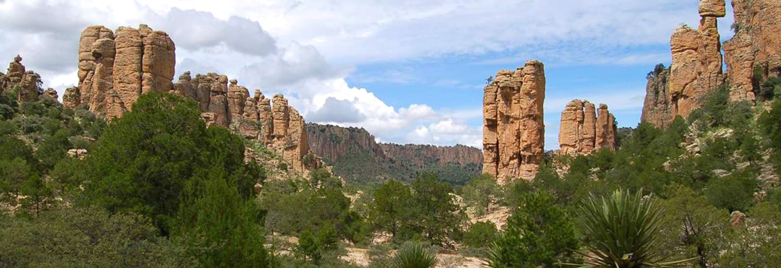 RUTA DE SOMBRERETE A ALTAVISTA EN ZACATECAS